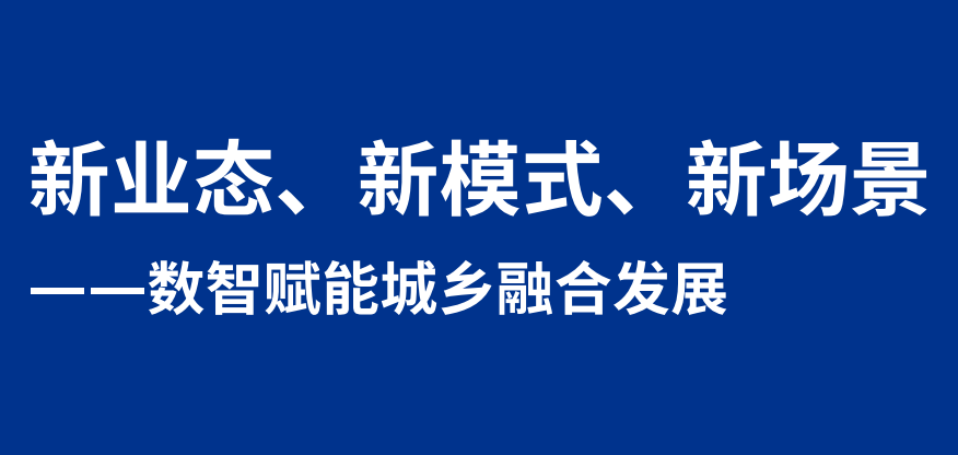 数智赋能城乡融合发展报告