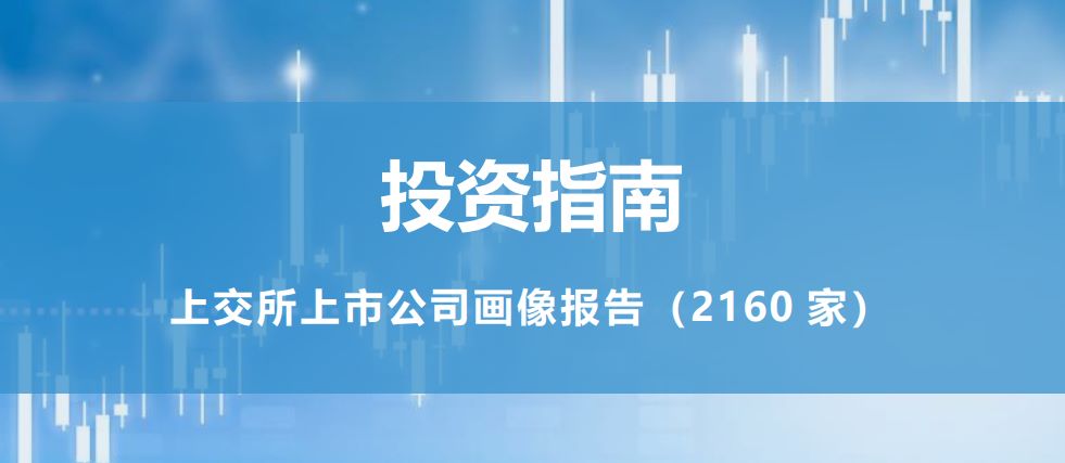 上交所上市公司画像报告（2060家）