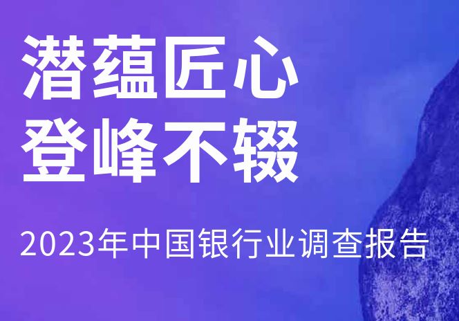 2023年中国银行业调查报告
