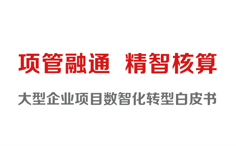 2023大型企业项目数智化转型白皮书