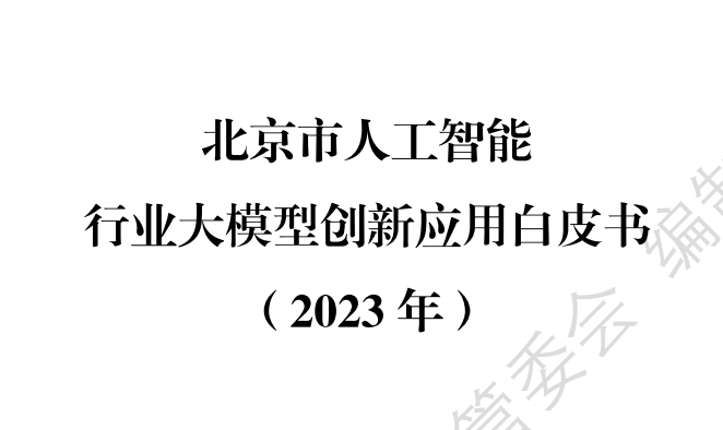 北京市人工智能行业大模型创新应用白皮书（2023年）