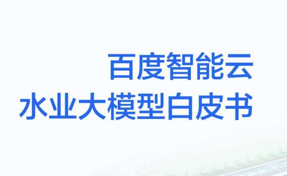 2024水业大模型白皮书