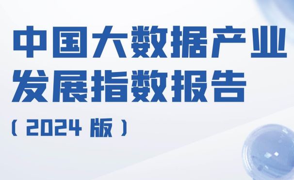 中国大数据产业发展指数报告（2024版）