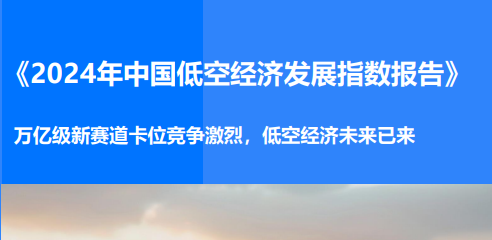 2024年中国城市低空经济发展指数报告