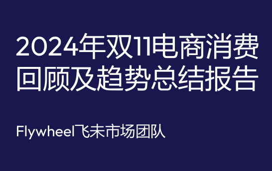 2024年双11电商消费回顾及趋势总结报告