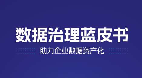 2024数据治理蓝皮书：助力企业数据资产化