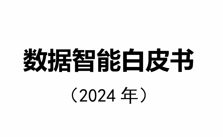 数据智能白皮书（2024年）