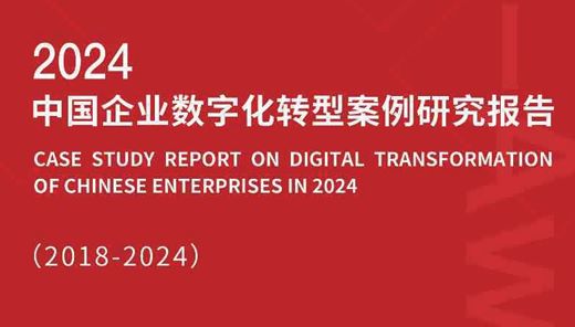 2024中国企业数字化转型案例研究报告