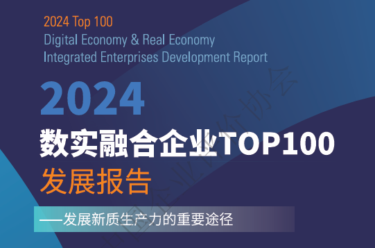 2024年数实融合企业TOP100发展报告