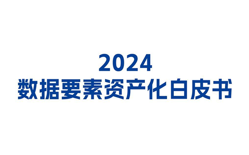 2024年数据要素资产化白皮书