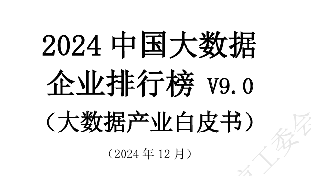 2024年中国大数据企业排行榜V9.0（大数据产业白皮书）