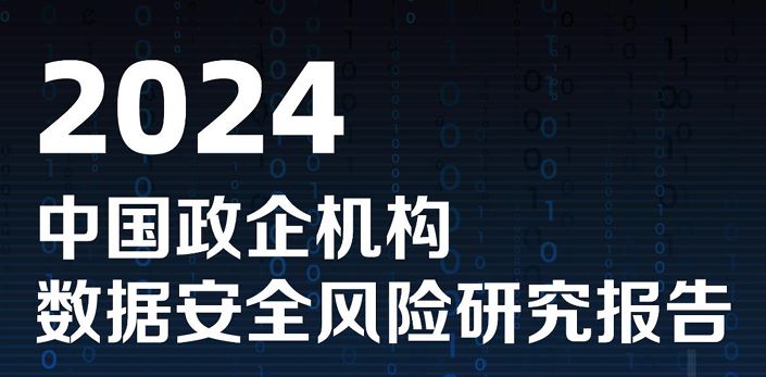 2024中国政企机构数据安全风险研究报告