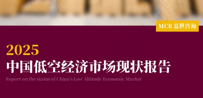 2025年中国低空经济市场现状报告
