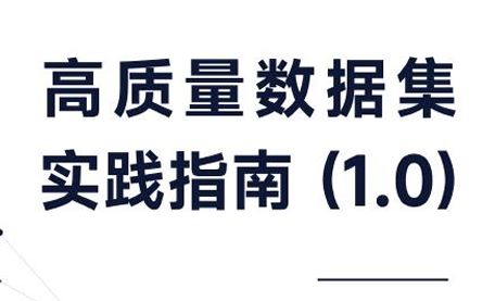 高质量数据集实践指南（1.0）