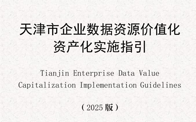 天津市企业数据资产化价值化实施指引（2025版）