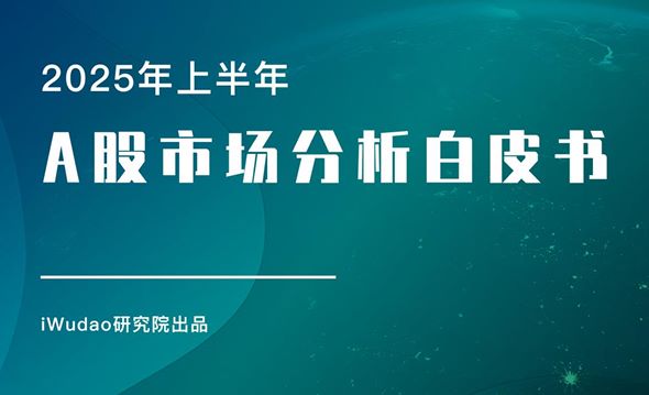 2025年上半年A股市场分析白皮书
