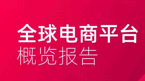 2025年全球电商平台概览报告