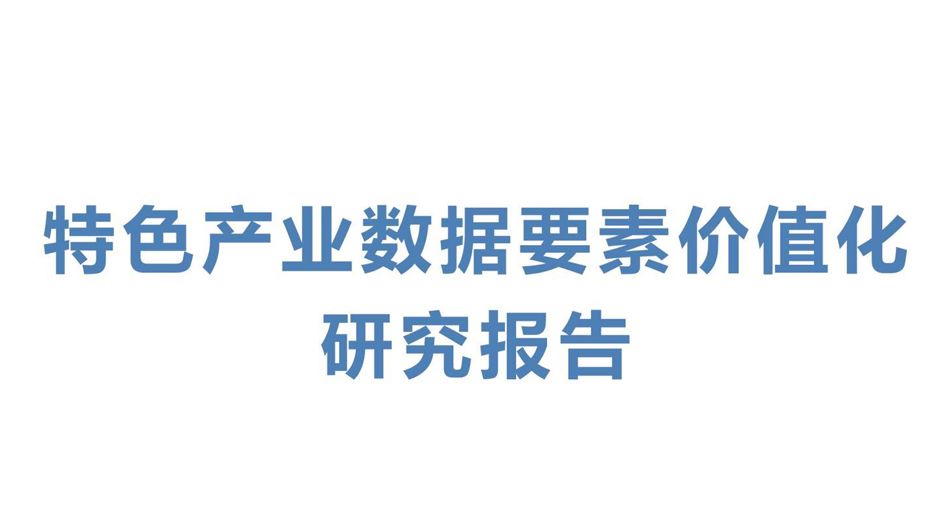 特色产业数据要素价值化研究报告
