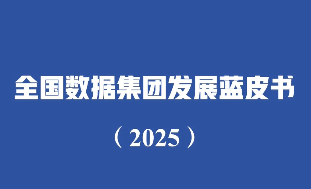全国数据集团发展蓝皮书（2025）
