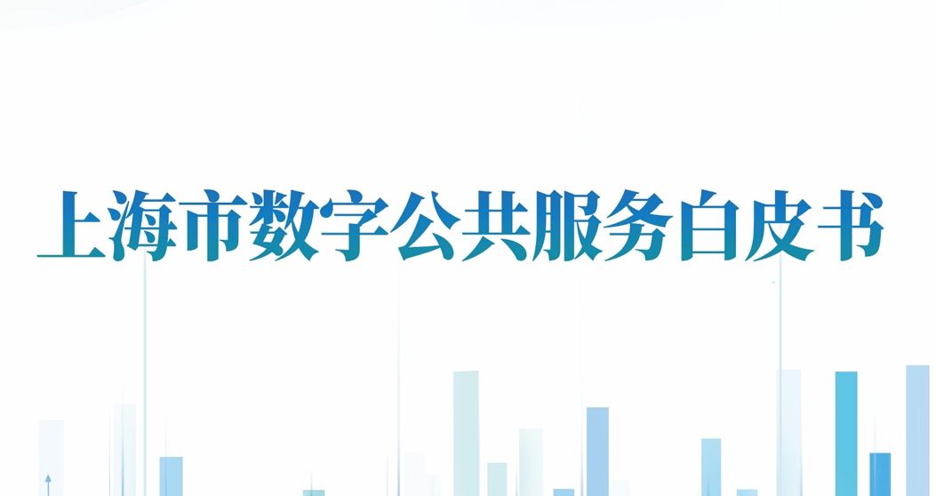 上海市数字公共服务白皮书
