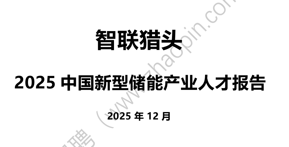 2025中国新型储能产业人才报告