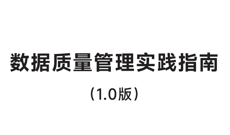 数据质量管理实践指南1.0