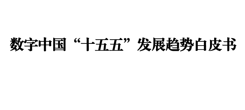 数字中国十五五发展趋势白皮书