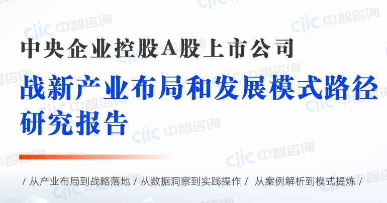 央企A股上市公司战新产业布局和模式路径比较研究报告