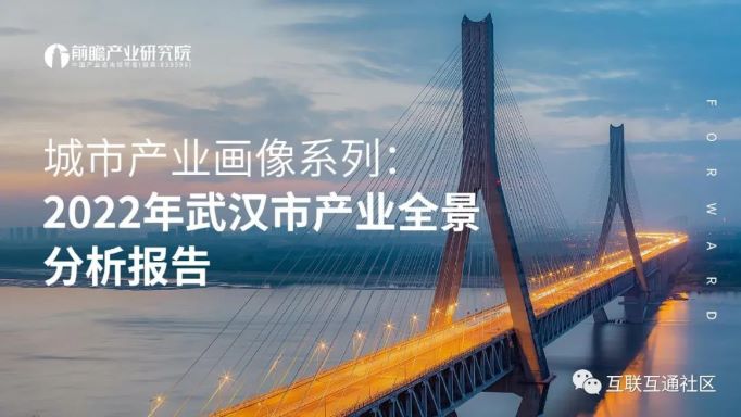 2022年武汉市产业全景分析报告
