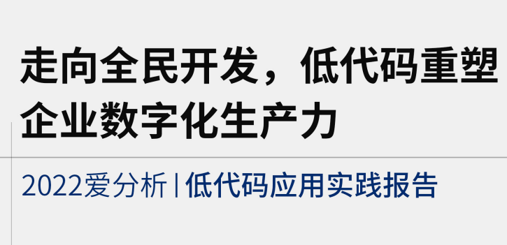 2022年低代码应用实践报告