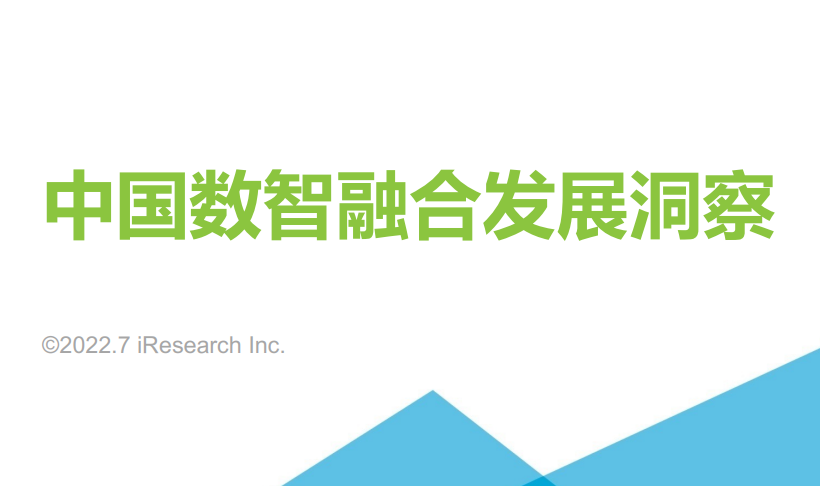 2022年中国数智融合发展洞察