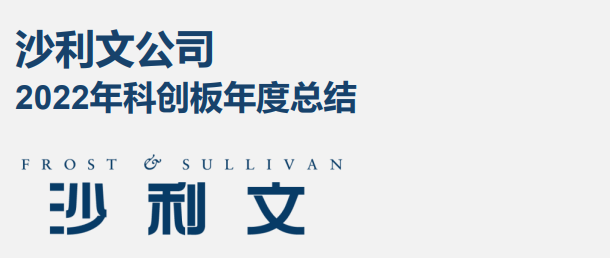 2022年科创板年度总结