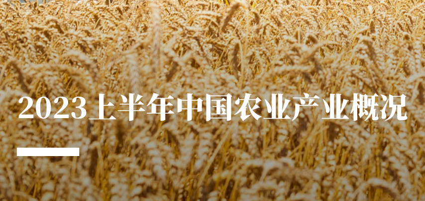 2023上半年中国农业产业概况报告