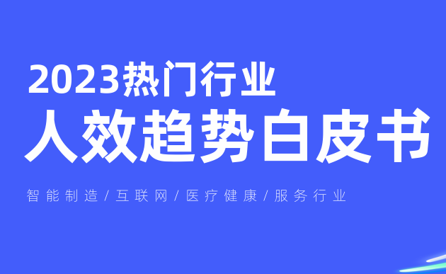 2023热门行业人效趋势白皮书