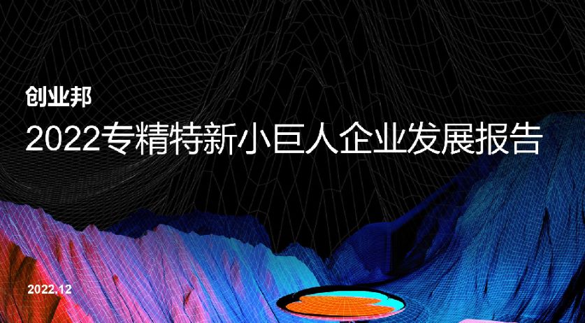 专精特新小巨人企业发展报告