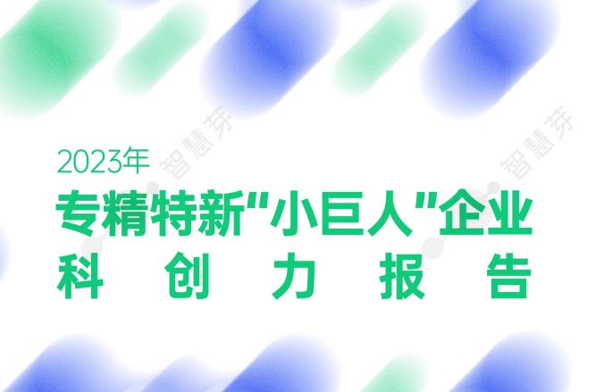 2023年专精特新“小巨人”企业科创力报告