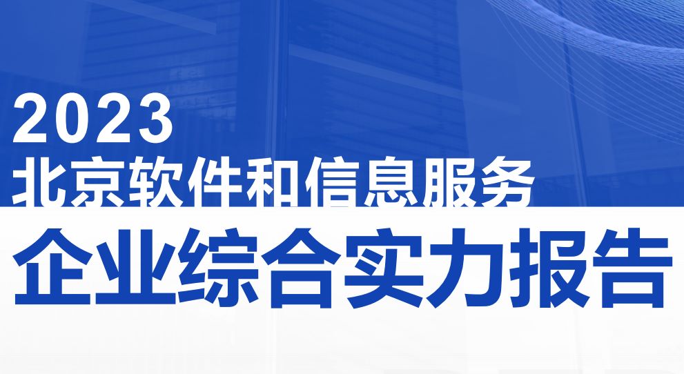 2023北京软件和信息服务企业综合实力报告