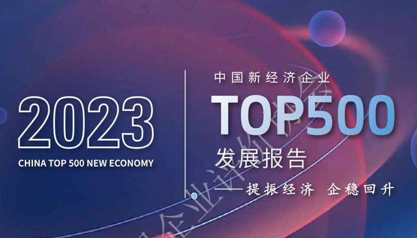 2023中国新经济企业TOP500发展报告