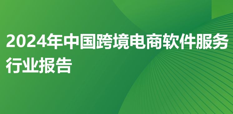 2024年中国跨境电商软件服务行业报告
