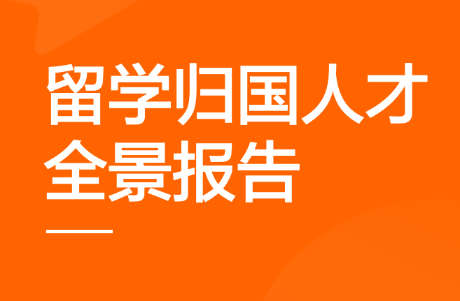 2024中国海外留学人才洞察报告