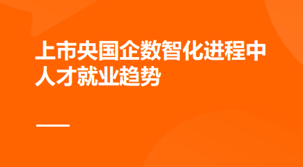 2024上市央国企数智化进程中人才就业趋势报告