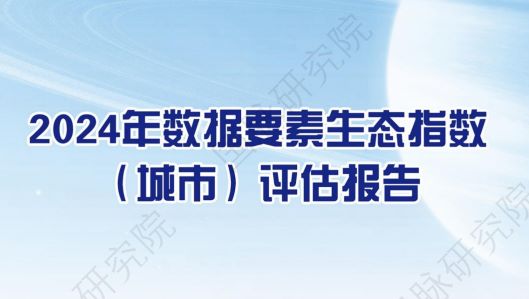 2024数据要素生态指数（城市）评估报告