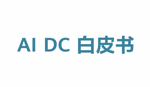 AI DC白皮书(2024年)