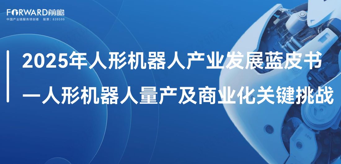 2025年中国人形机器人产业发展蓝皮书