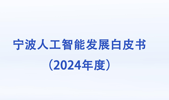 宁波人工智能发展白皮书（2024年度）