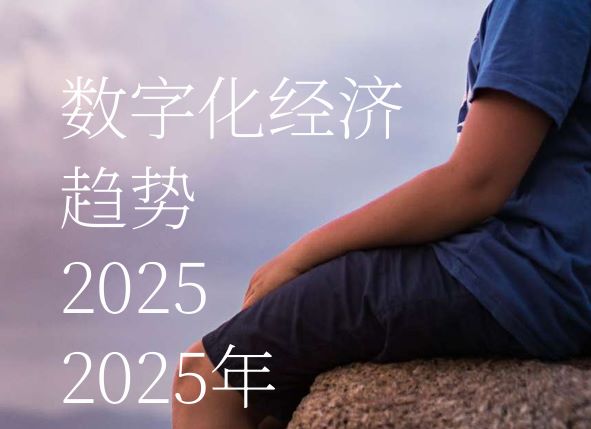 2025年数字经济趋势报告