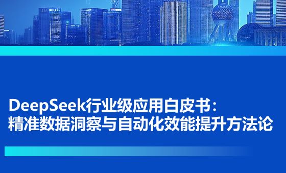 2025年DeepSeek行业级应用白皮书