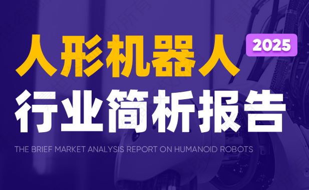 2025年人形机器人行业简析报告