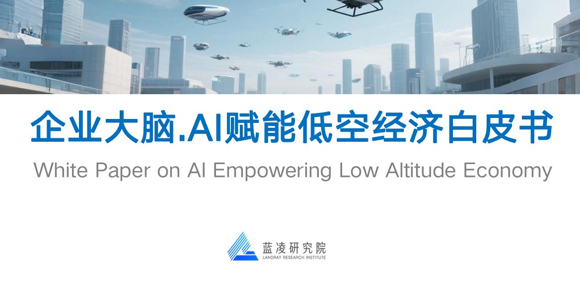 企业大脑·AI赋能低空经济白皮书