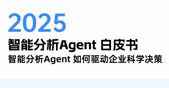 2025年智能分析Agent白皮书